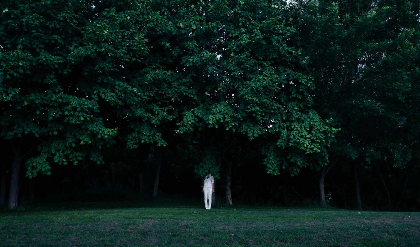 photo, white, face, woman, tree, green, contrast ratio, hide