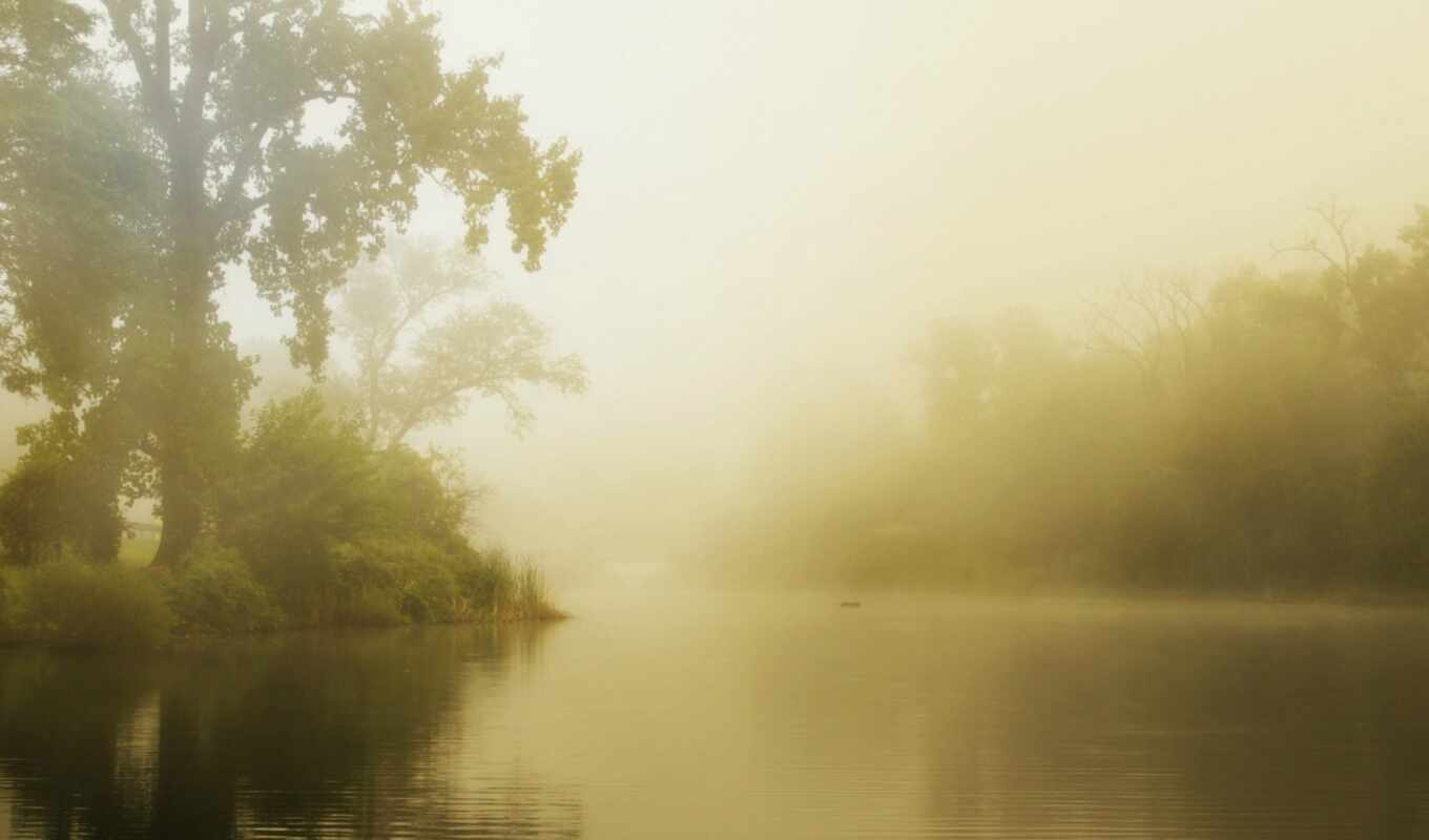 озеро, summer, туман