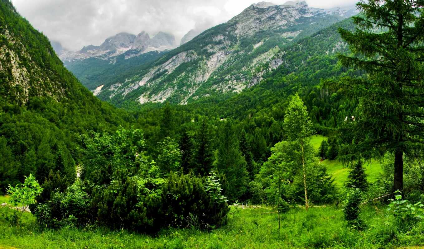 mountains, nature, section, Switzerland