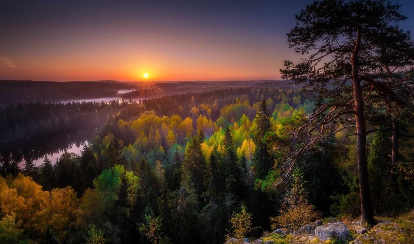 sun, autumn, day, beautiful, park, Finland, parok, johnther, meenlinna