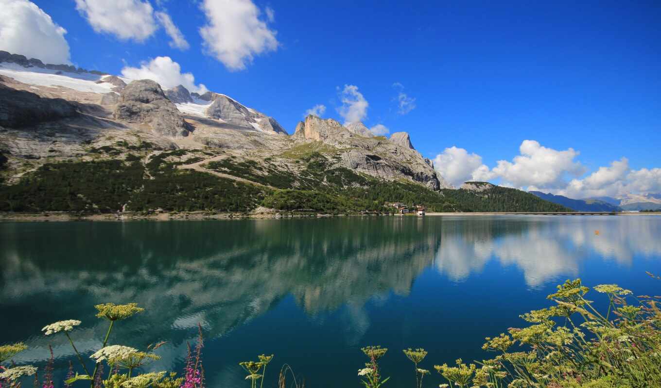 озеро, italian, красивый, plants, lago, горы, растения, fedaia