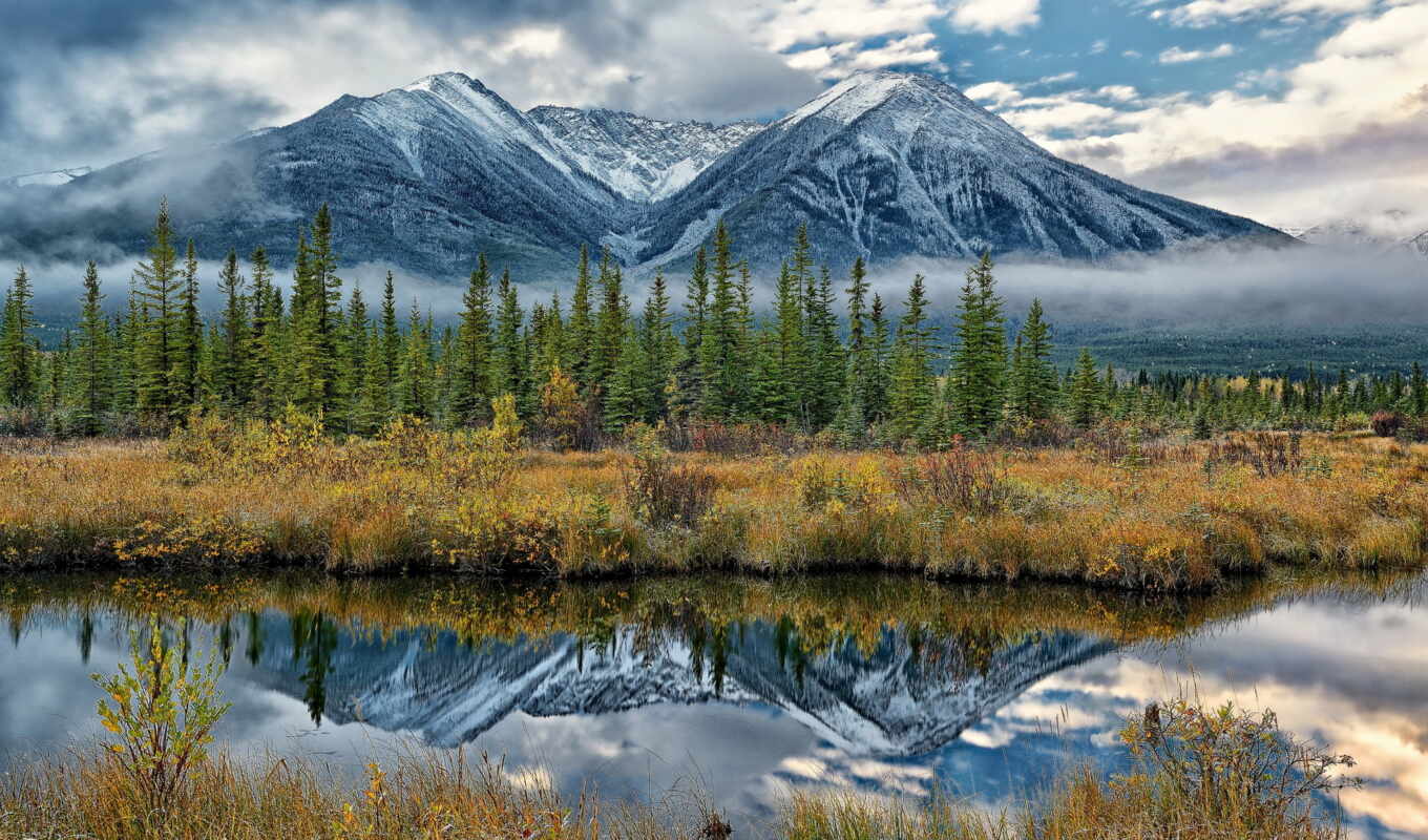 озеро, природа, фото, дерево, landscape, канада, альберта, park, national, banff