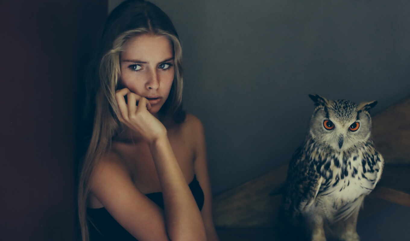 girl, summer, owl, bird, mood, arm