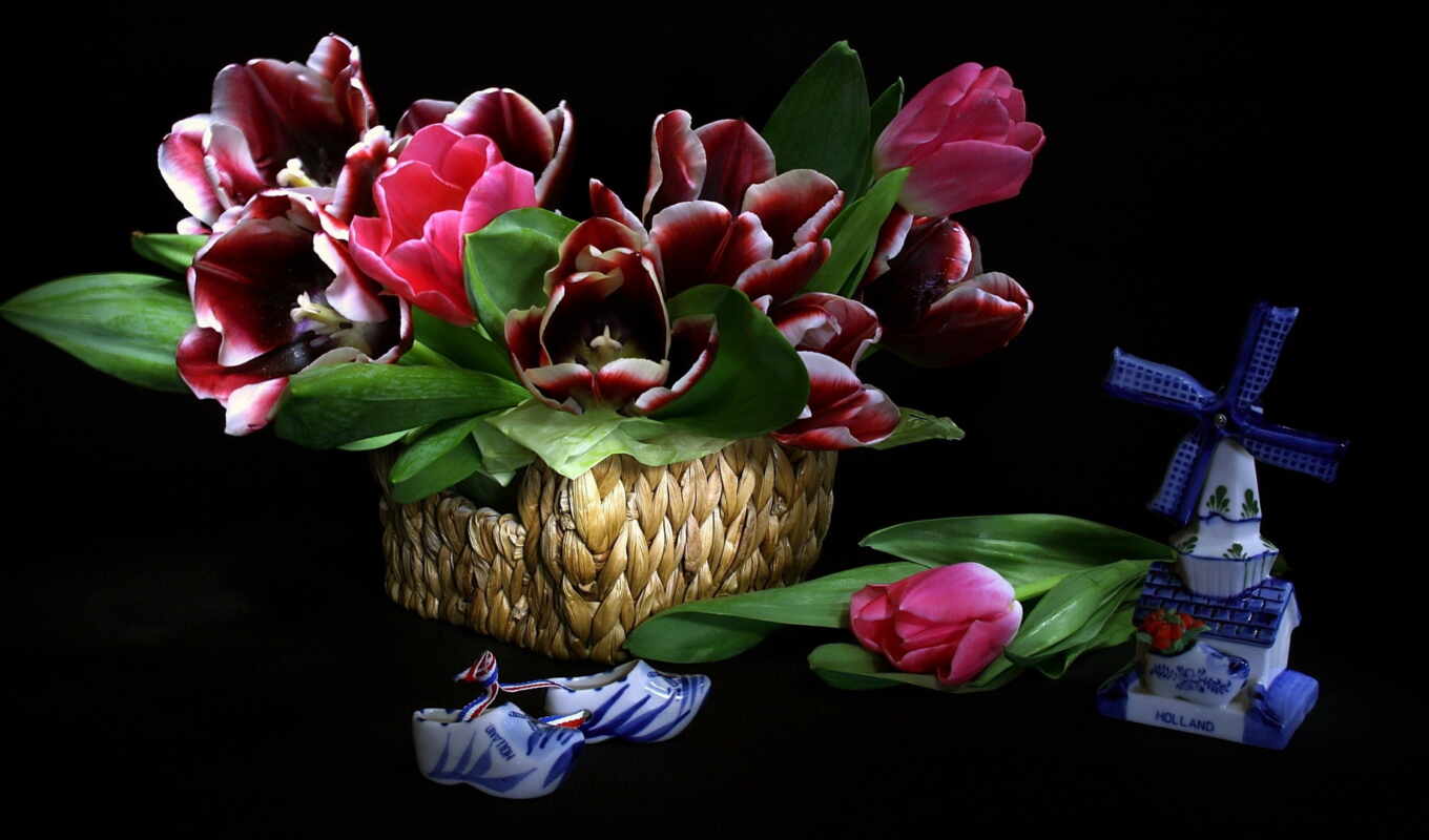 flowers, basket, tulip
