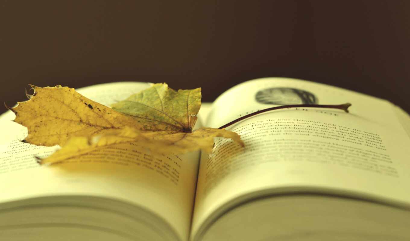 книга, красивые, осень, книги, обсуждение, настроения, нажатии