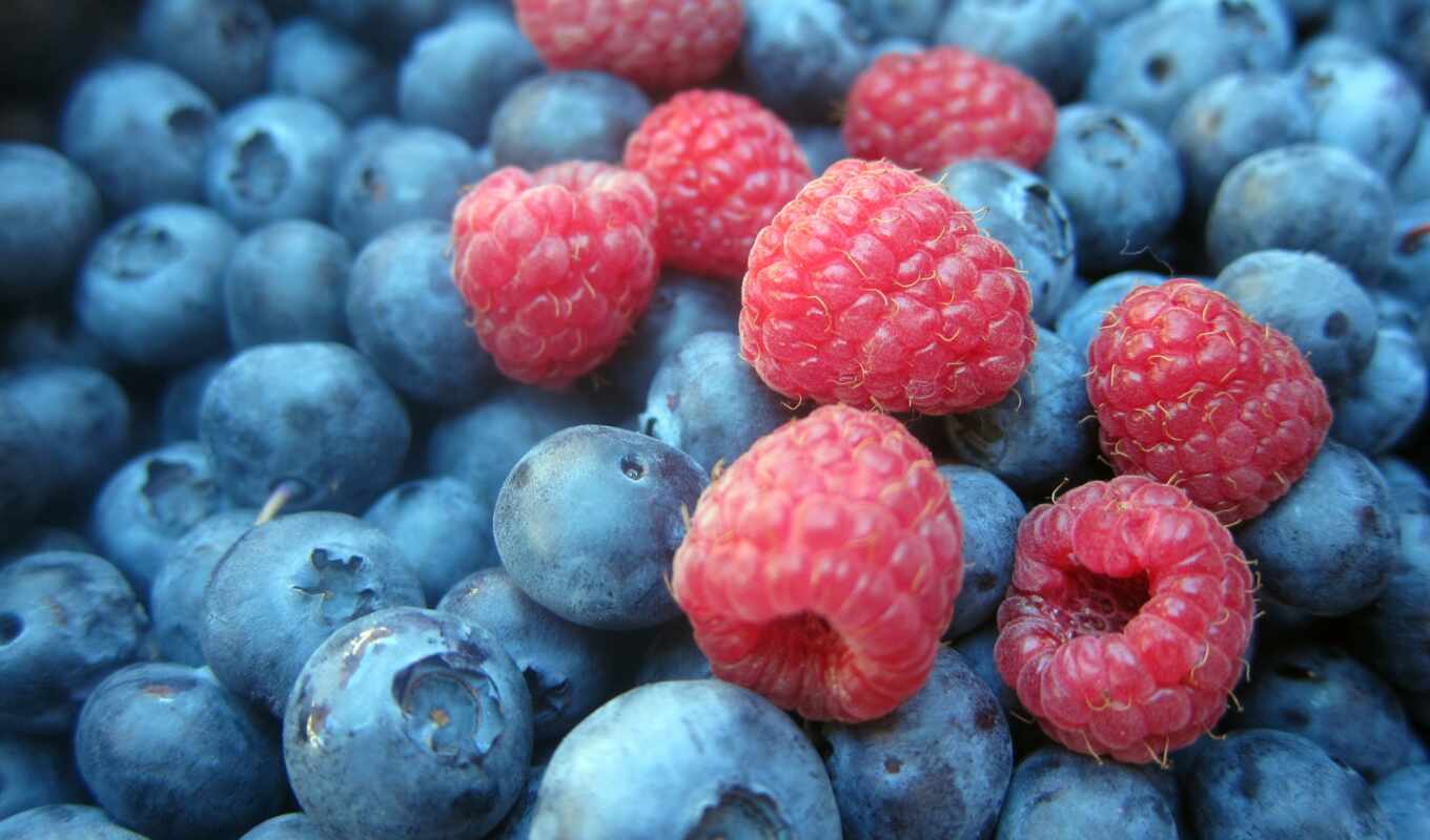 photo, fetus, raspberry, berry, blueberries, wood, frutto, ar-ndano