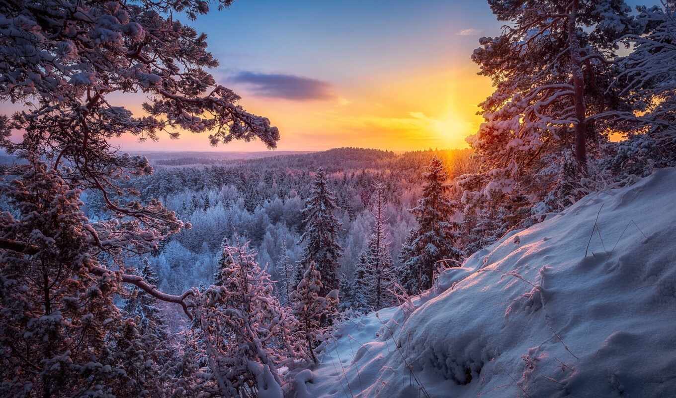 природа, sun, закат, снег, рассвет, winter, landscape, утро, качественные, laurus