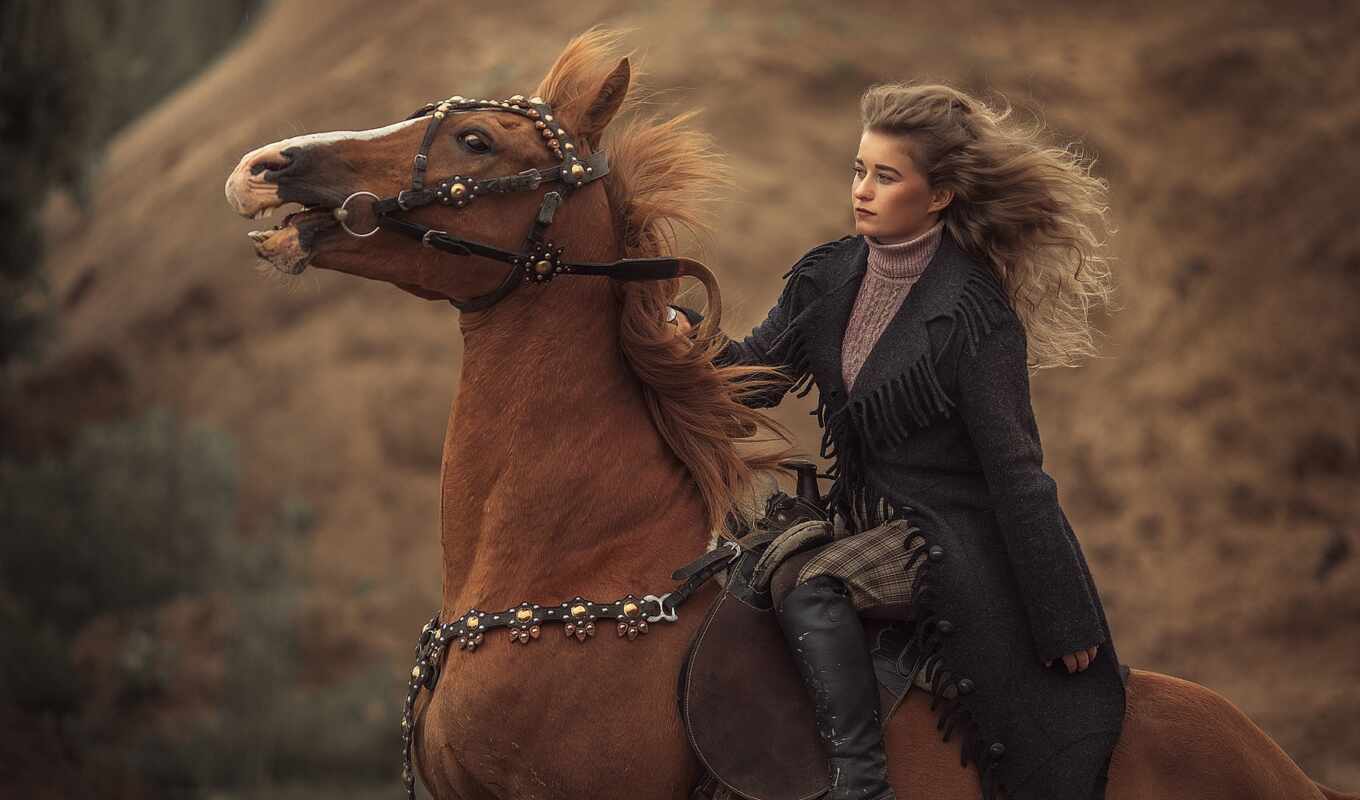 horse, take a ride, traveller