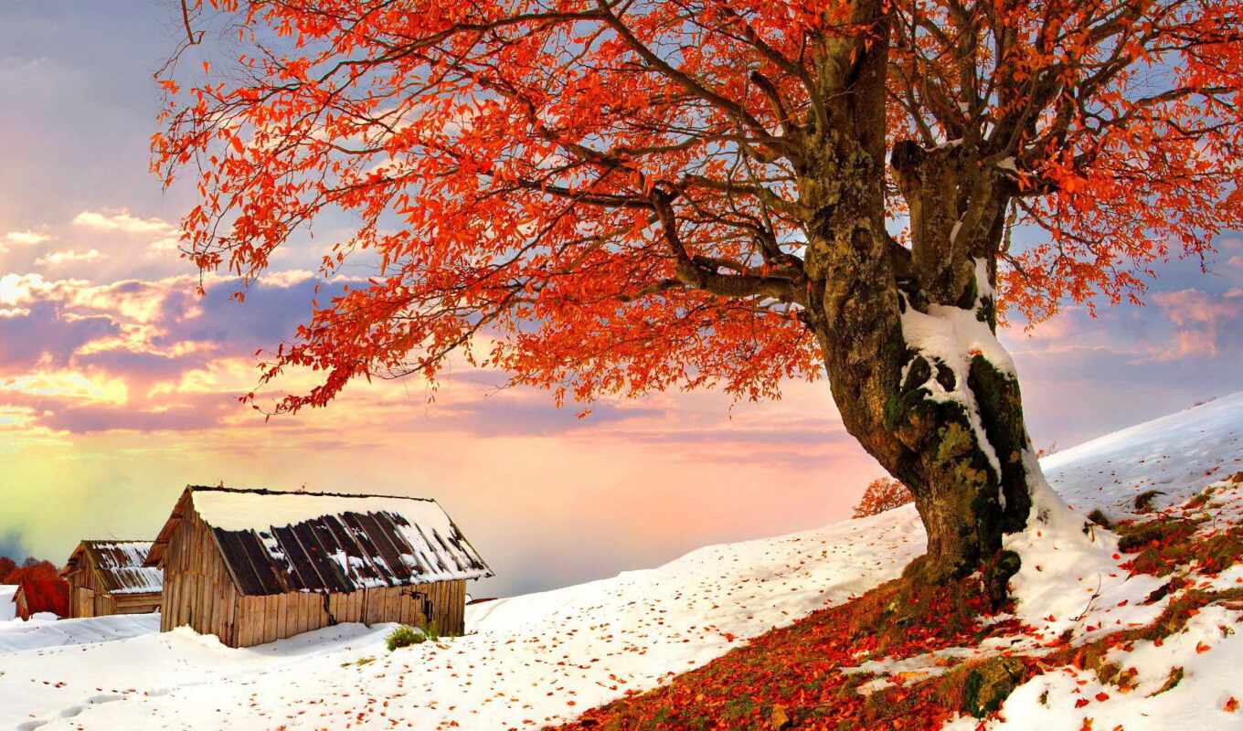 природа, небо, house, white, дерево, снег, winter, landscape, nice, осень, пасть
