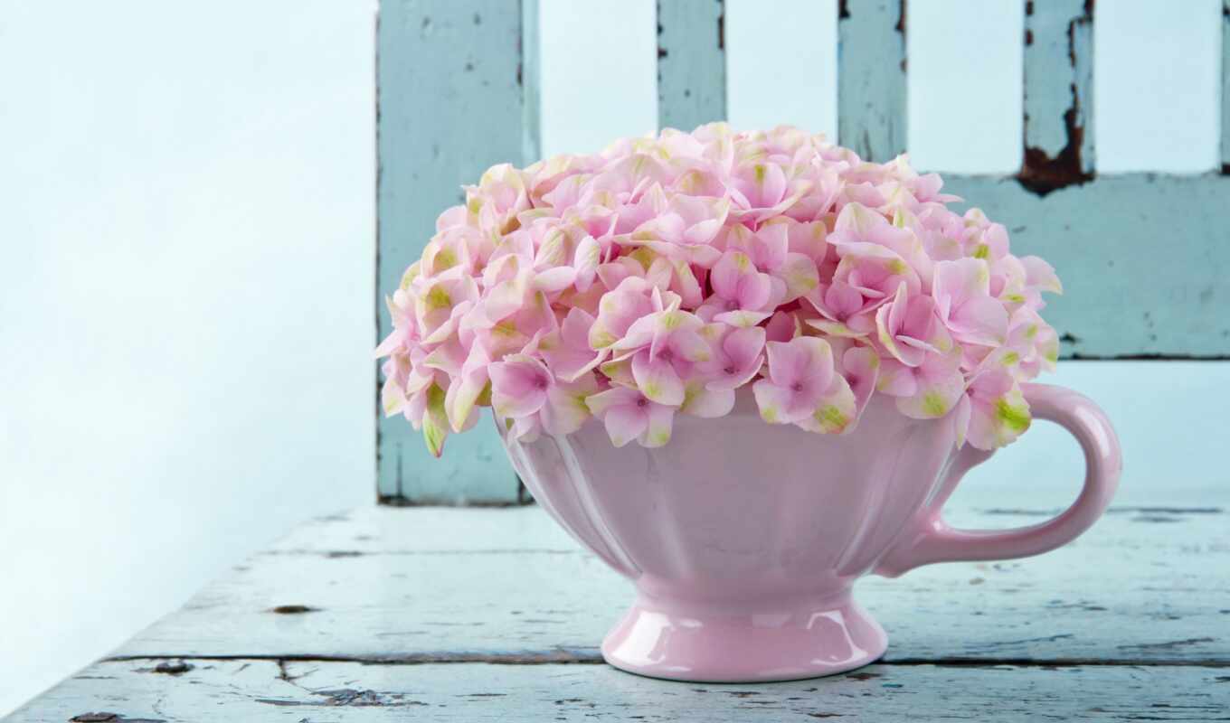 flowers, pink, cup, hydrangea, cvety, pink