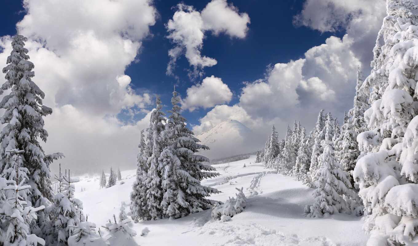 природа, фон, дерево, снег, winter, лес, landscape, christmas