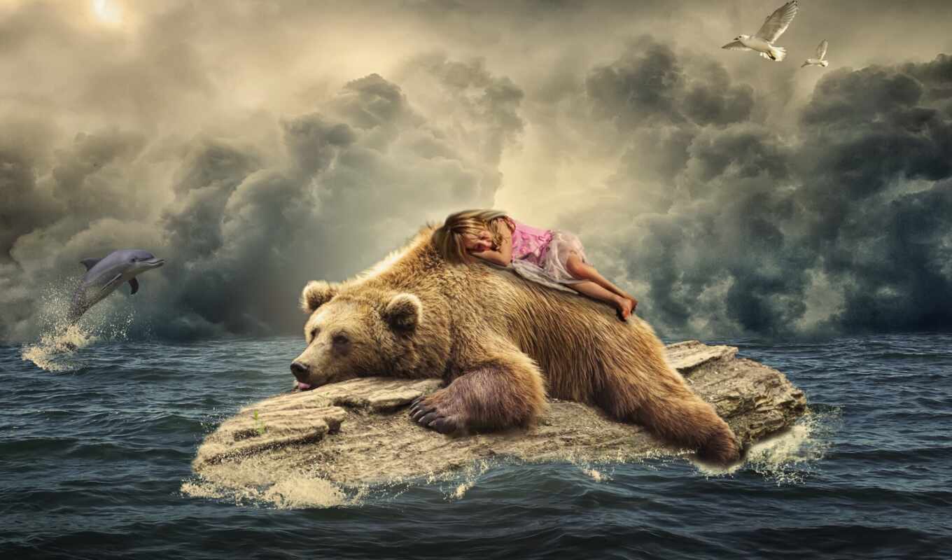 art, девушка, море, заставки, спящая, браун, дельфин, медведь