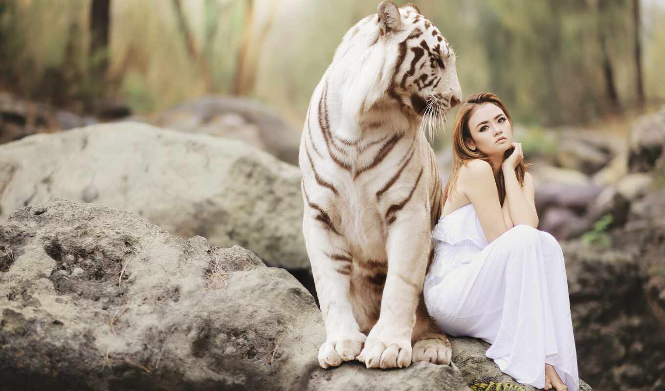 девушка, white, тигр