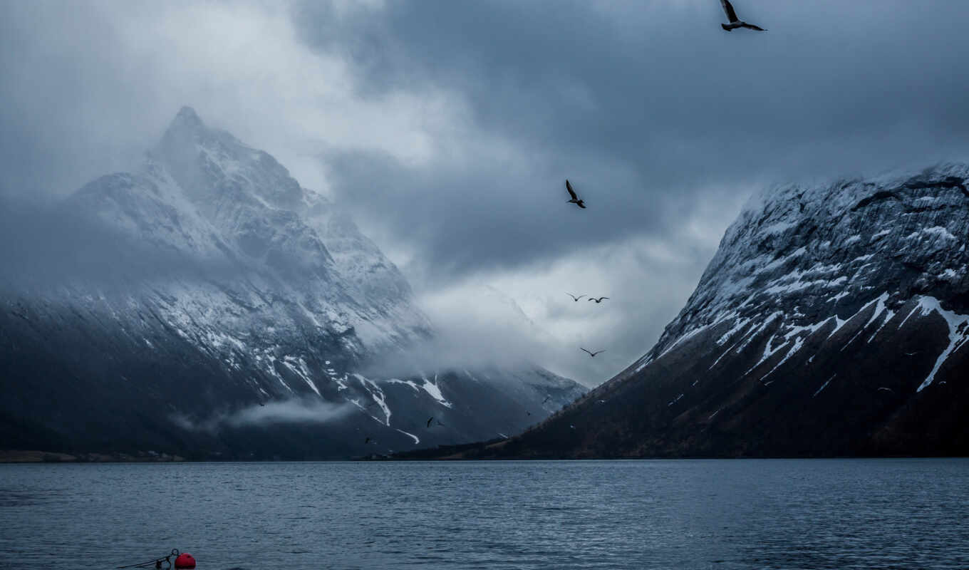 природа, desktop, изображение, birds, mountains, норвегия, bakin