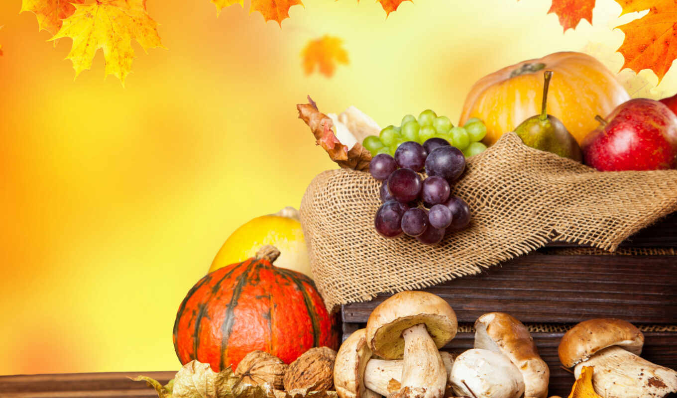 autumn, apples, harvest, pumpkins