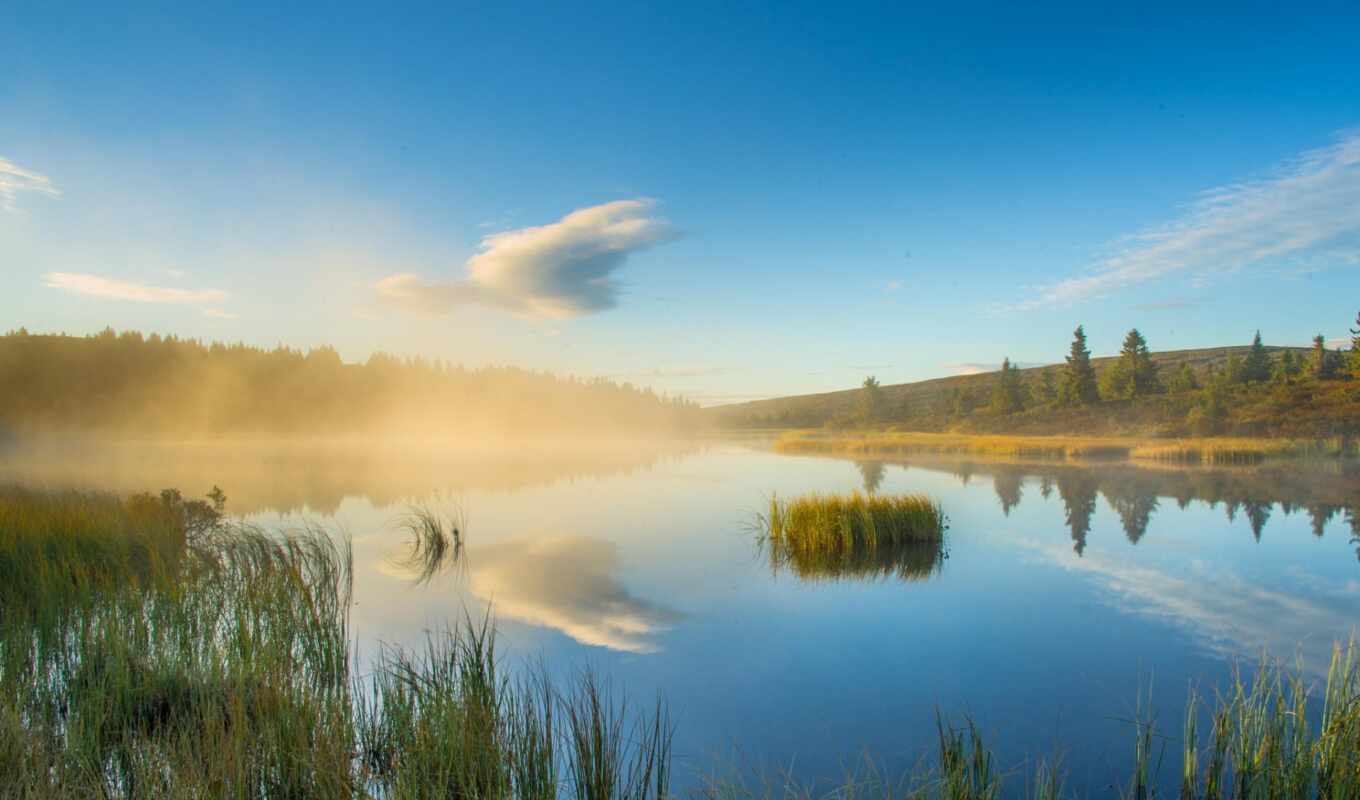 lake, nature, forest, reflection, haze