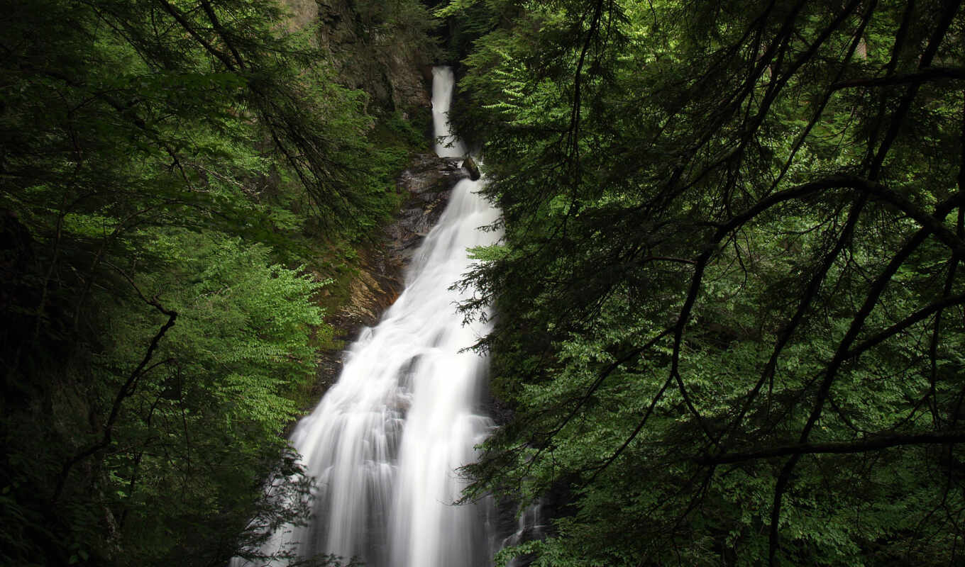 пасть, glen