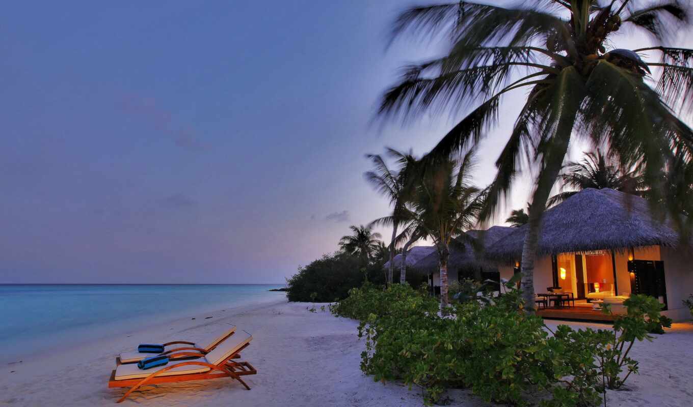 sunset, beach, evening, sea, ocean, coast, palm, tropic, bungal, keep, maldive