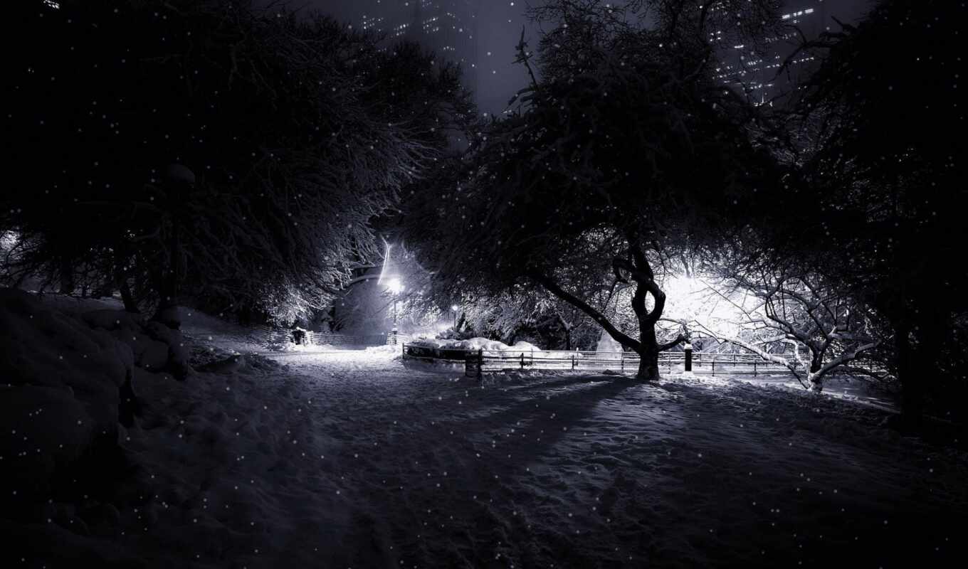 night, frame, park, gothic, snowy, forest, moonlight, series, fore, gerahmt, druck