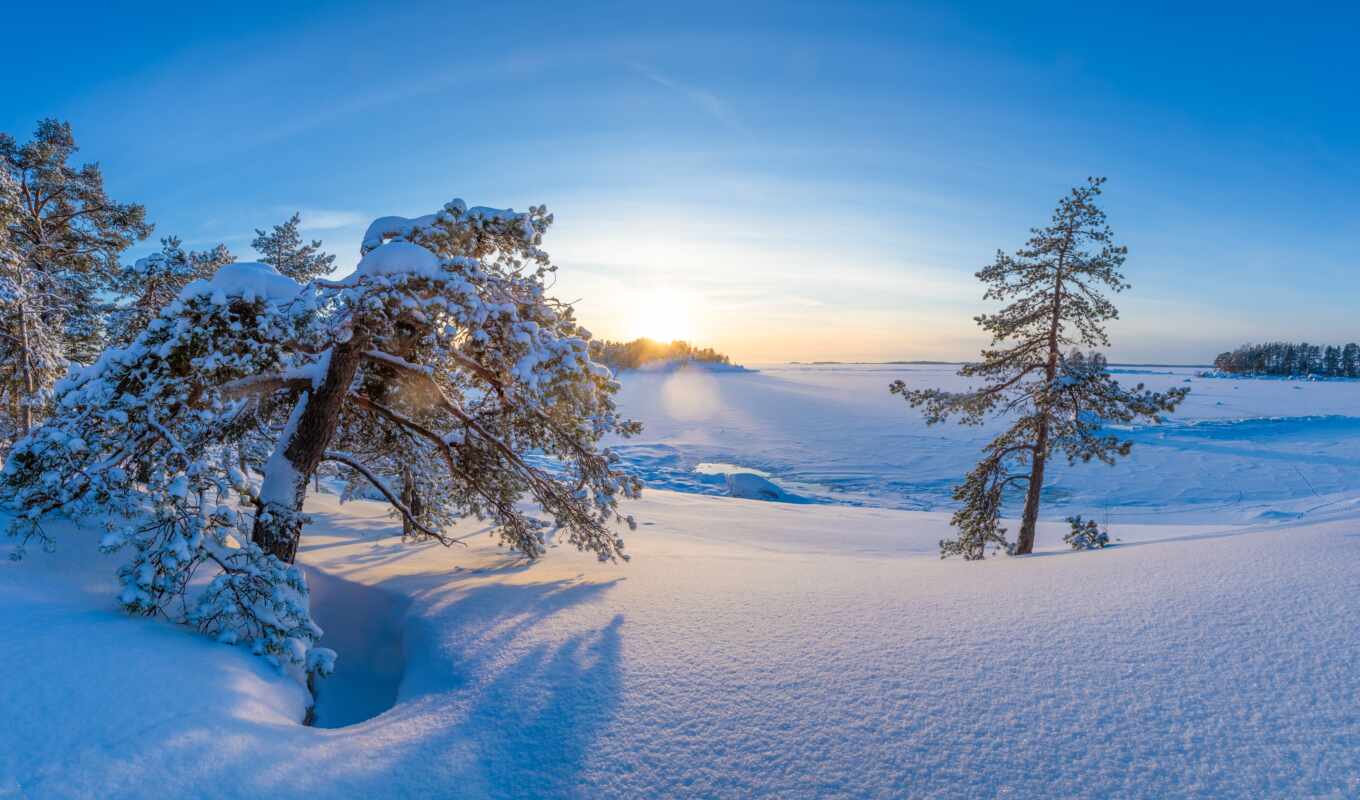 дерево, снег, winter, финляндия, hamin