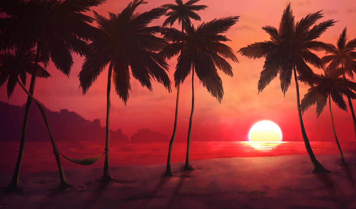 digital, tree, sunset, beach, palm, tropical
