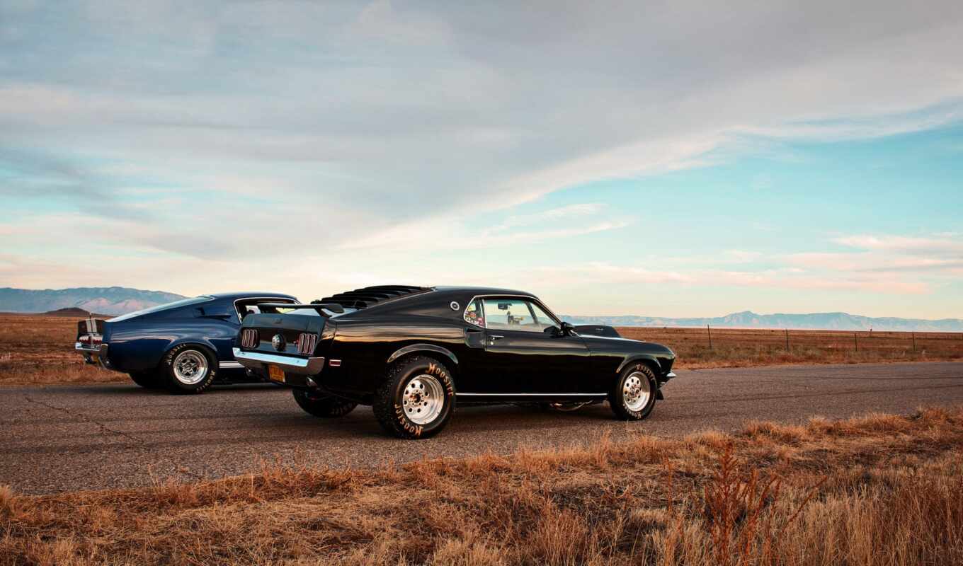 car, ford, race, shelby, muscle, brake, gt 500, fast, lunchbox