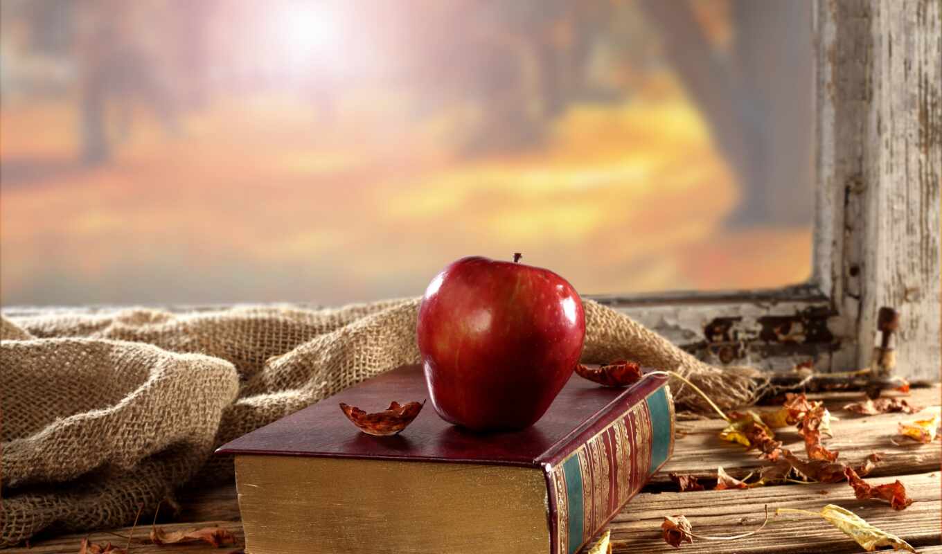 apple, beautiful, people, interesting, lies, footprints, books, Whom, books, the book