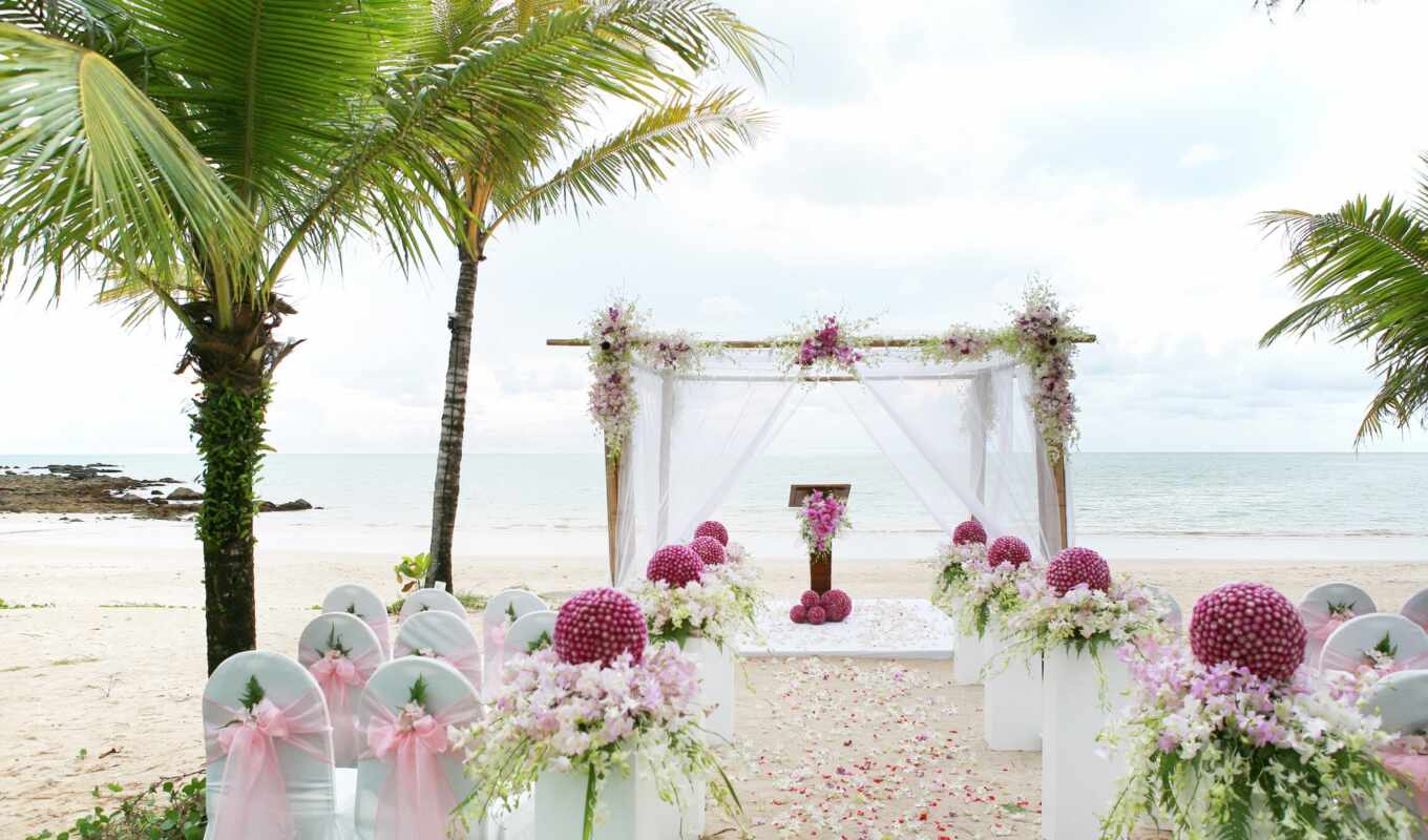 store, пляж, top, palm, romantic, свадебный, tropic, фотообои, гостиная