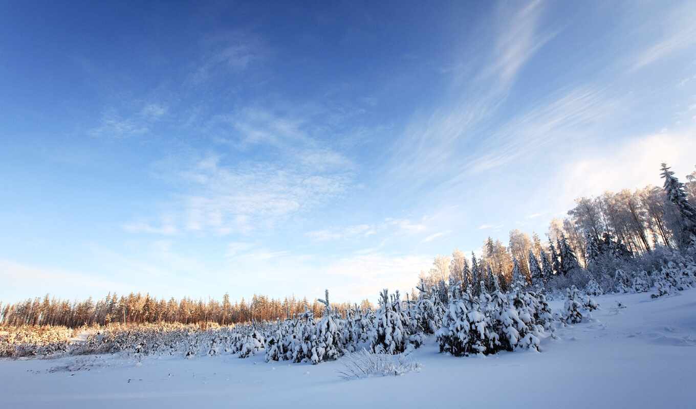 небо, дерево, снег, winter, лес, landscape, облако, дорогой, permission