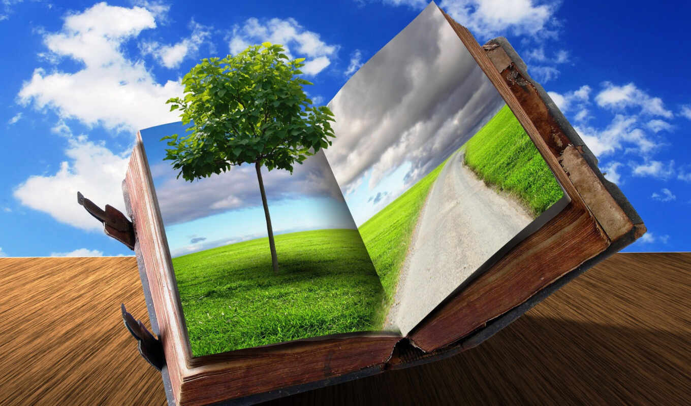 книга, креатив, дерево, трава, дорога, поле, деревом, дорогой, открытая, oblaka