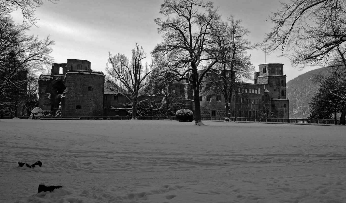 nature, black, winter, castles, time, landscapes, shades, Rhine, father
