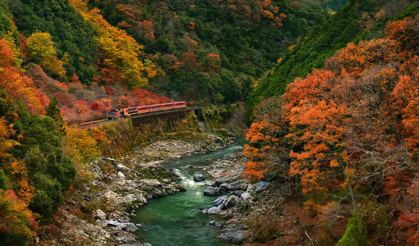 collection, forest, road, a train, already, autumn, the best, uploaded, mountains, trains