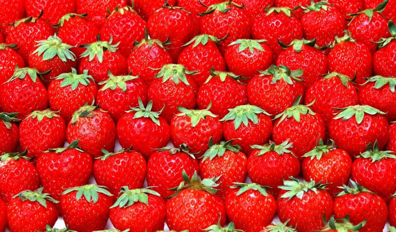 nature, meal, beautiful, strawberry, strawberries, berries, strawberries