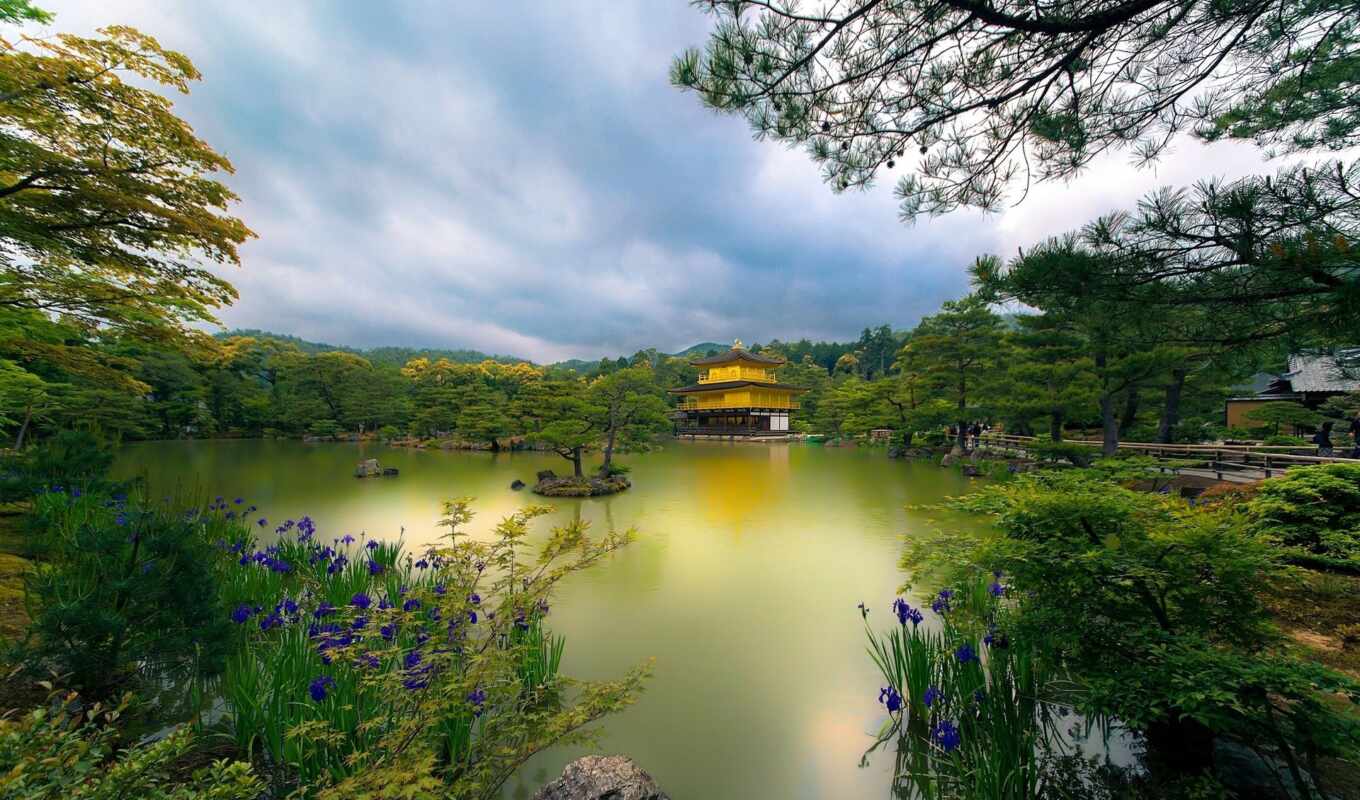 храм, japanese, золотистый, trees, япония, kyoto