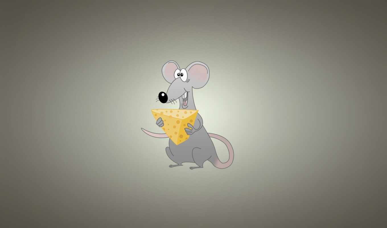 mouse, raw, rat