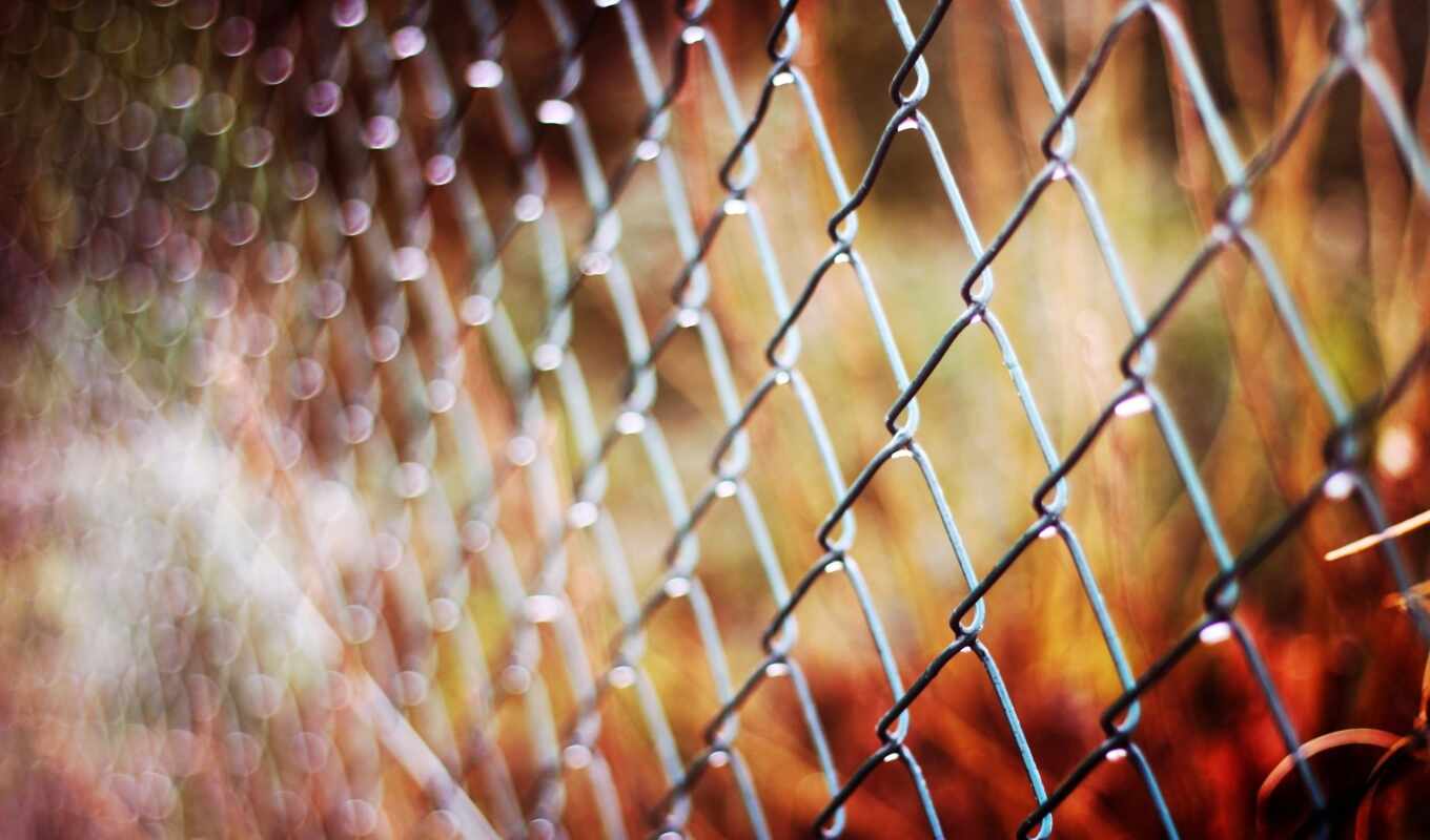 free, best, pictures, metal, fence, pretty