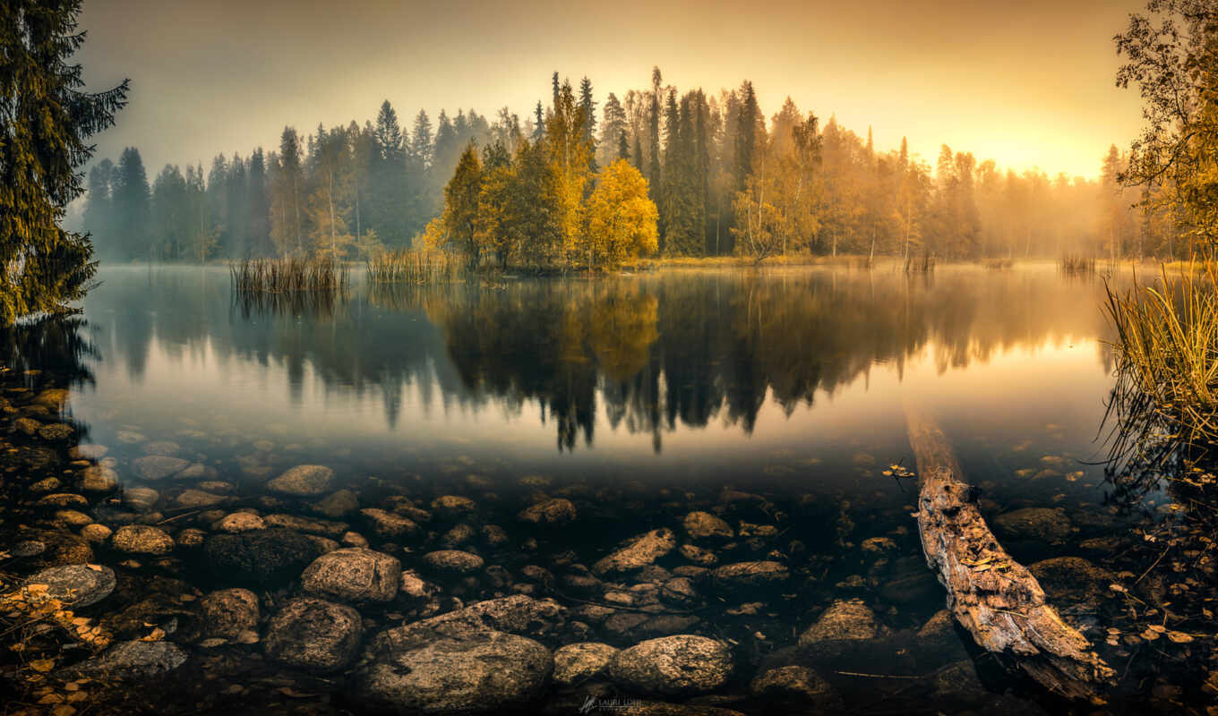 озеро, природа, лес, осень, пруд, trees, туман