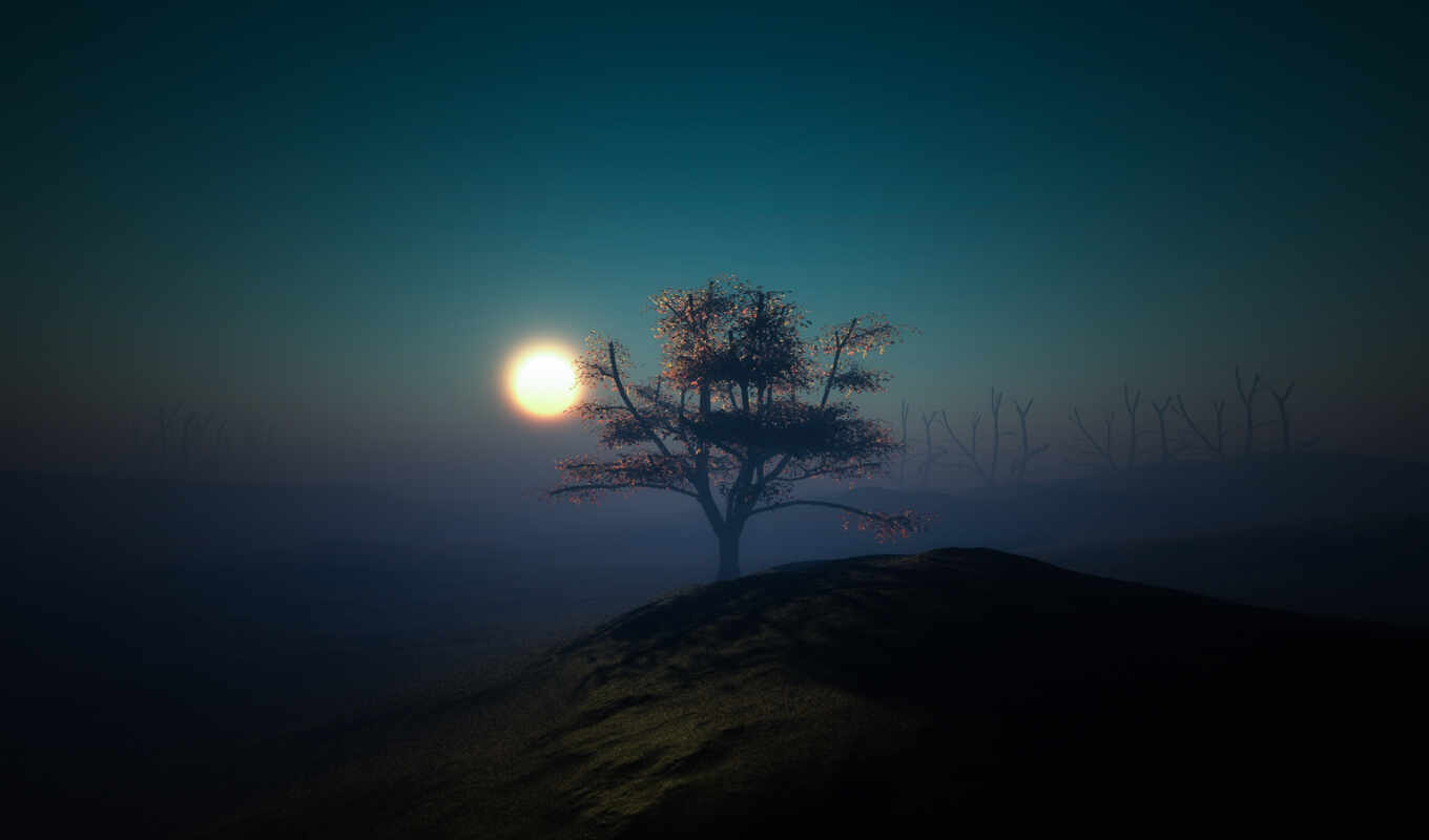 tree, sunset, mountain, cliff