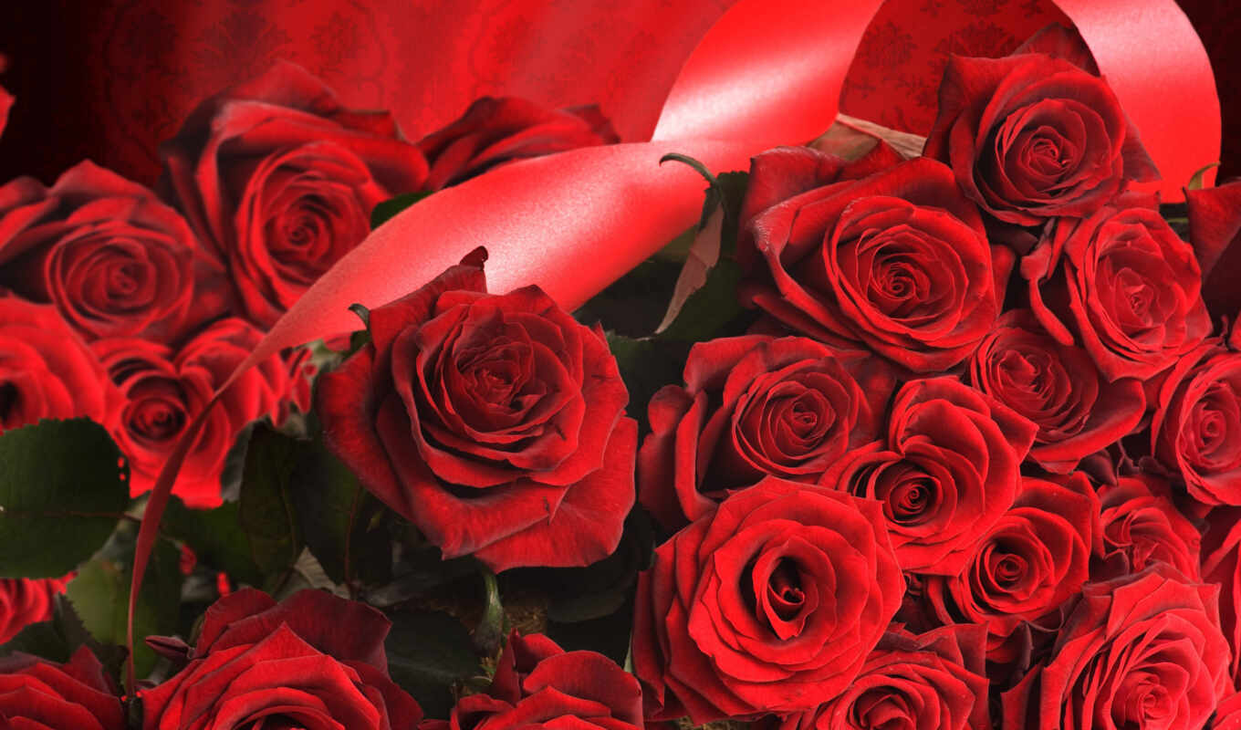 красные, розы, martha, красными, gözəl, март, qadınlar, лентами, təbriki