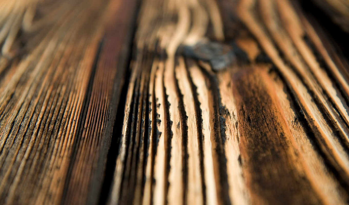 texture, tree, invoice, wood boards