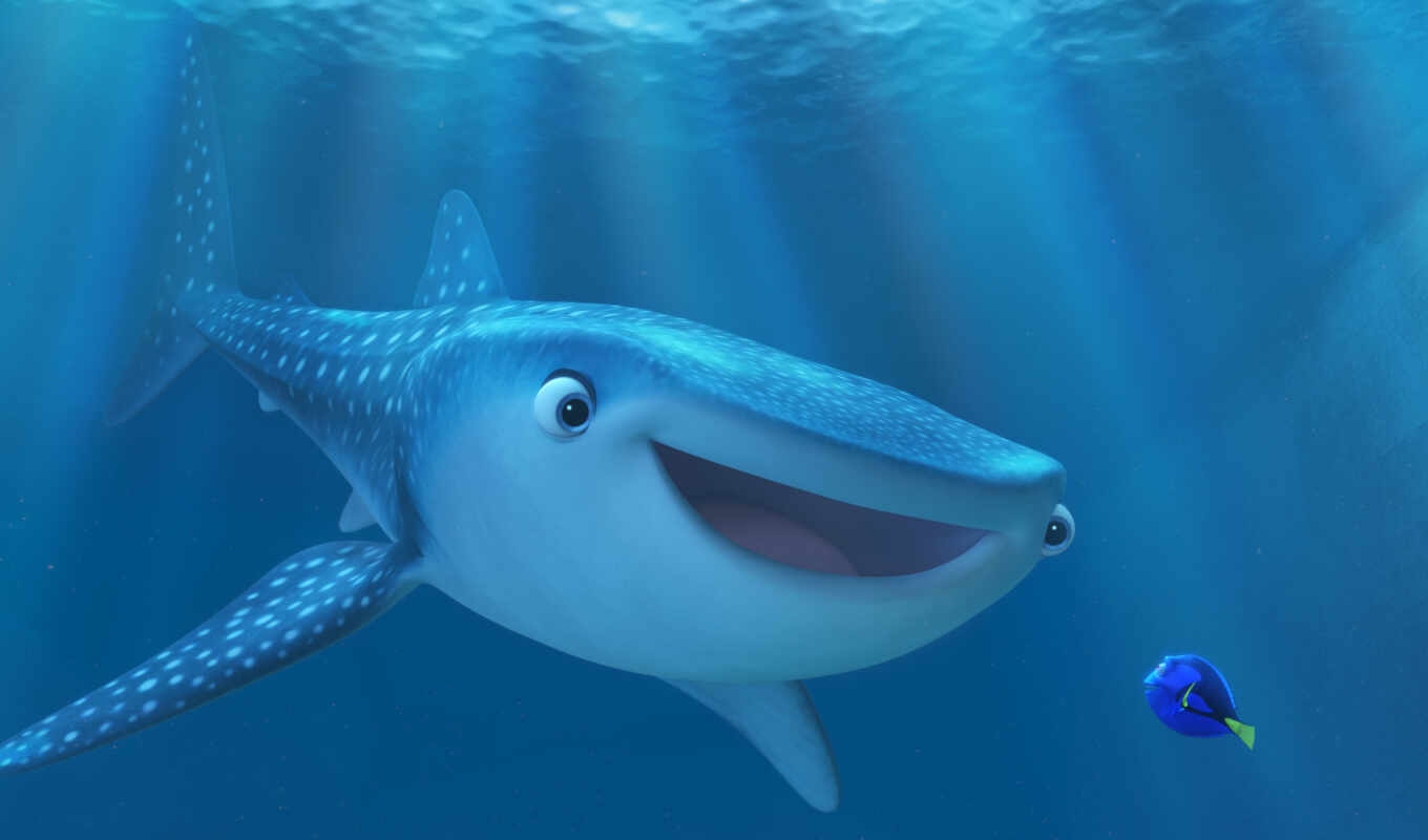 the, see, one, whale, search, look, beluga, search, dory, even