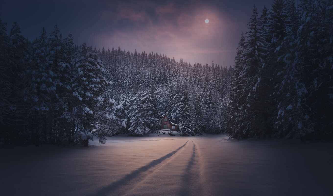 природа, фото, ночь, winter, лес