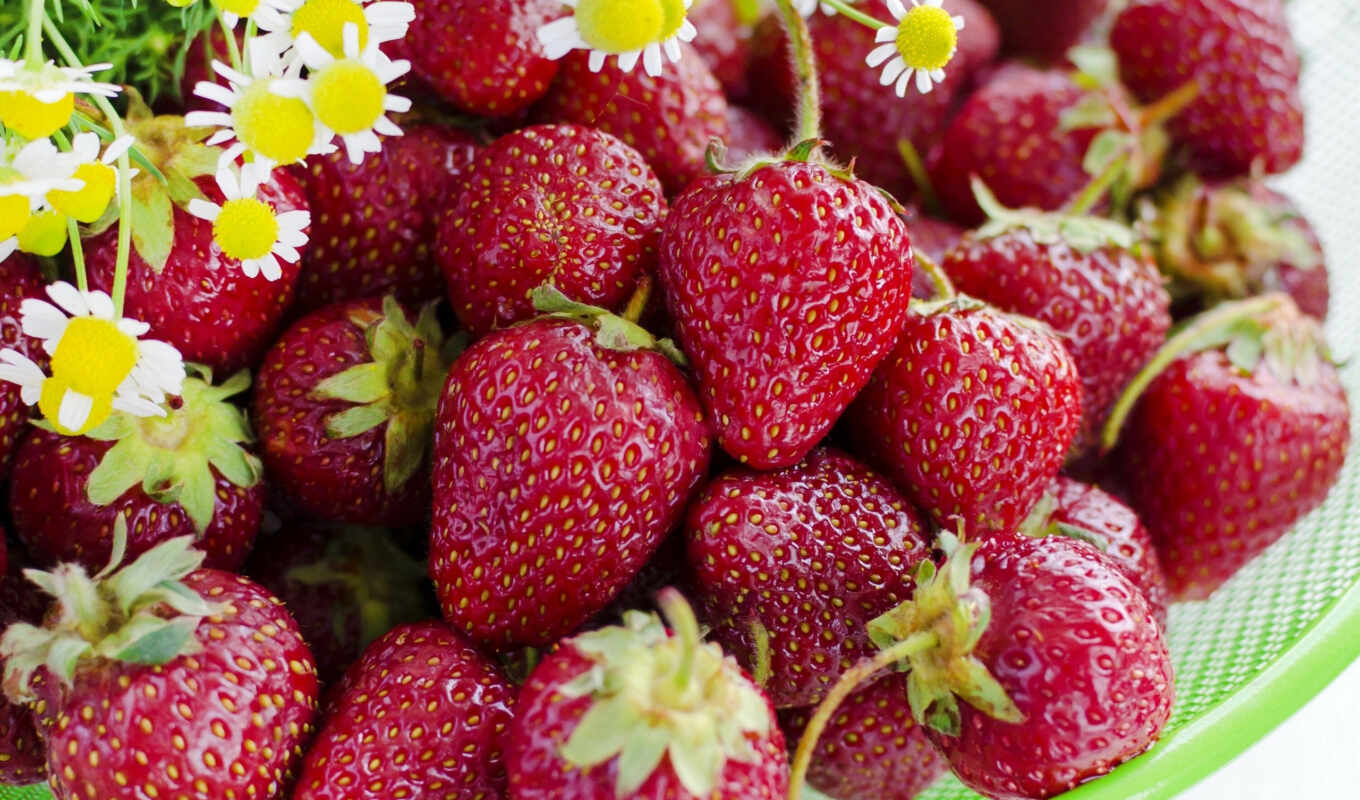 flowers, red, strawberry, berry, meal, pile