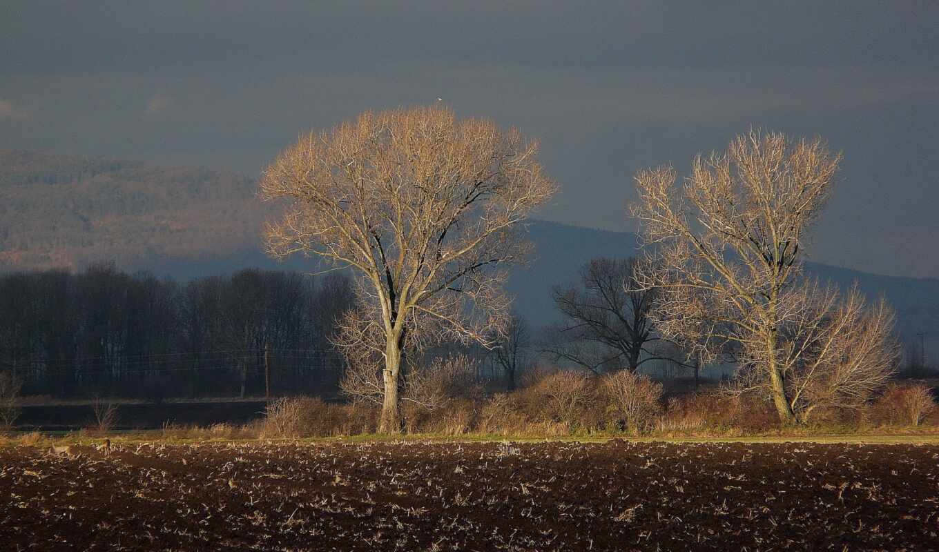 природа, небо, landscape, images