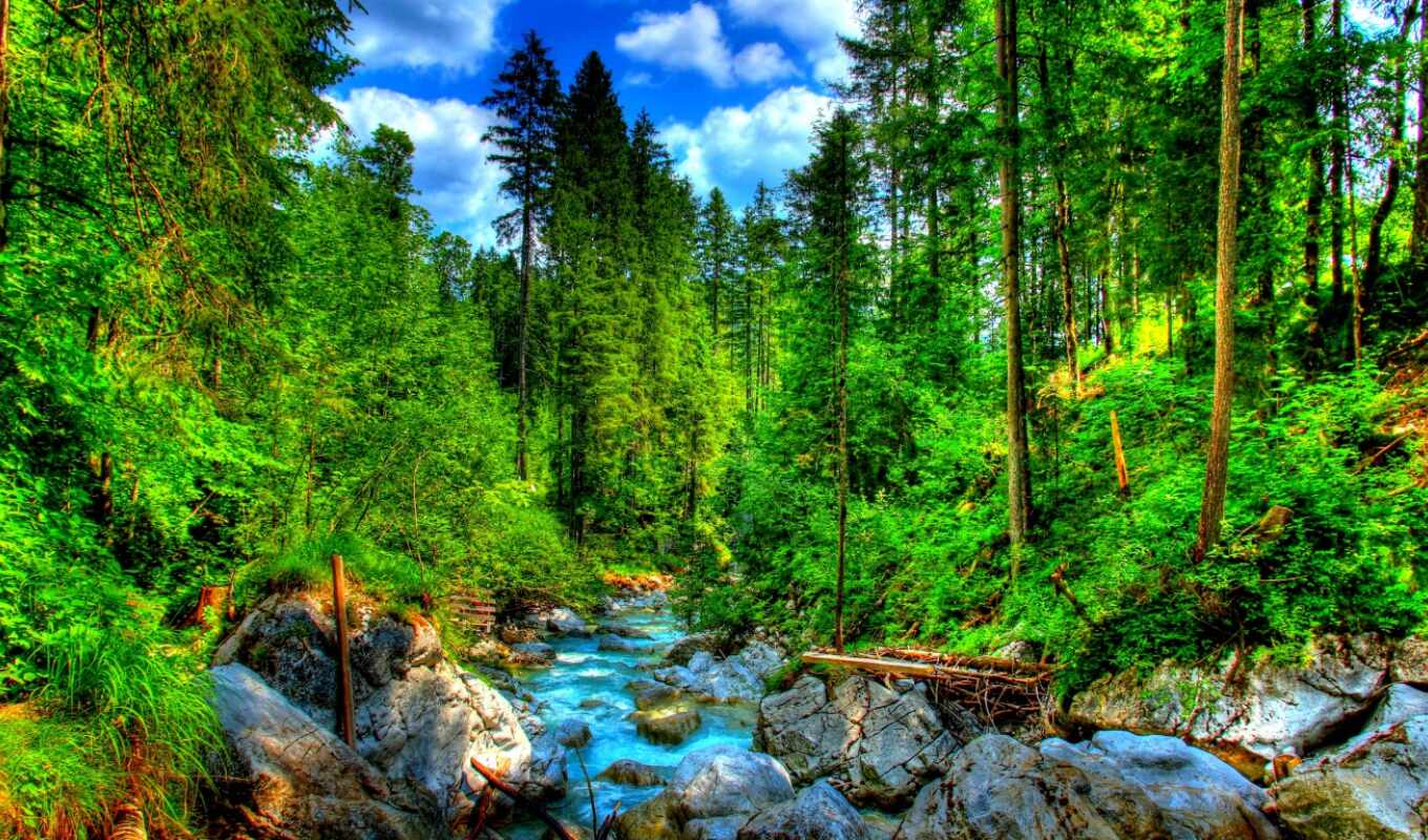 природа, лес, german, сказочный, лагос, бавария, montañas, cascadas, bosques, ramsau, ríos