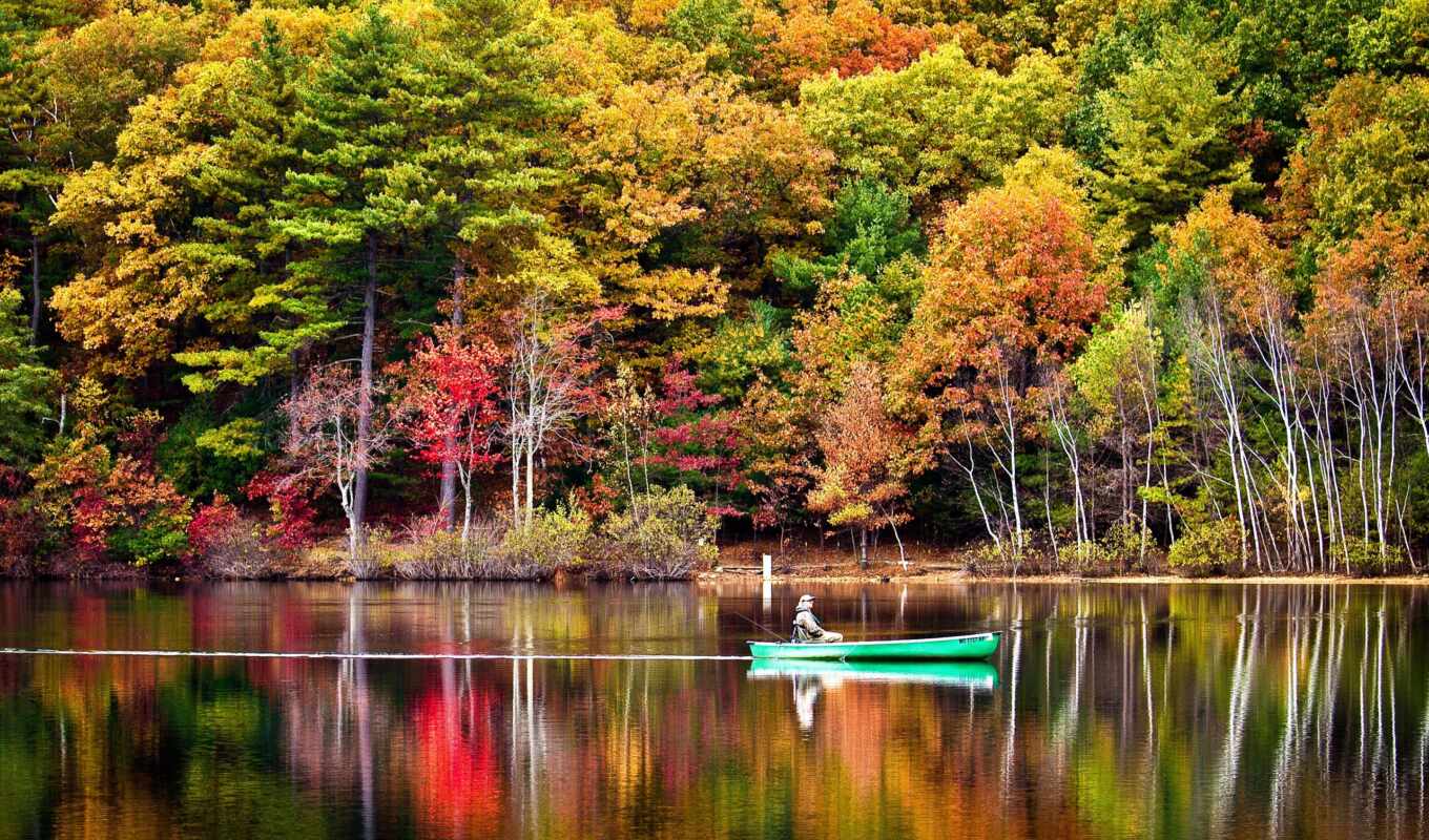 you, лес, осень, река, trees, отражение, лодка, рыбалка, вивер, consciência