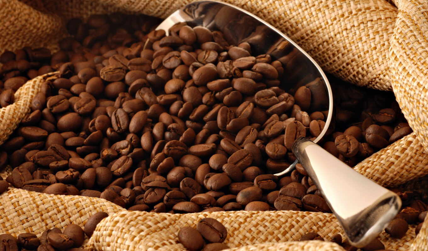 coffee, следы, дерева, выращивание, кофейного