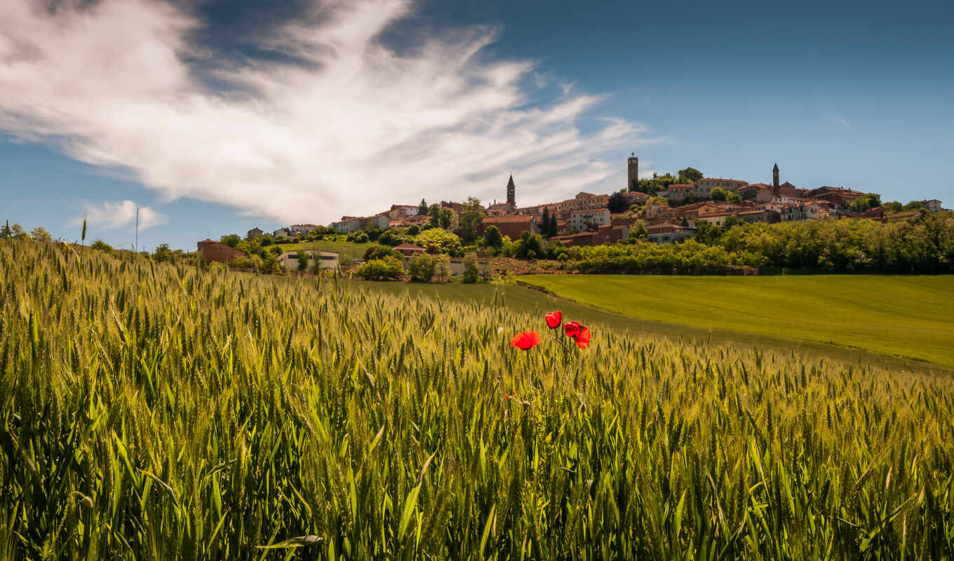 landscapes-, italian, village, italy, youtube, italy, favourite, margin, poppies, piedmont