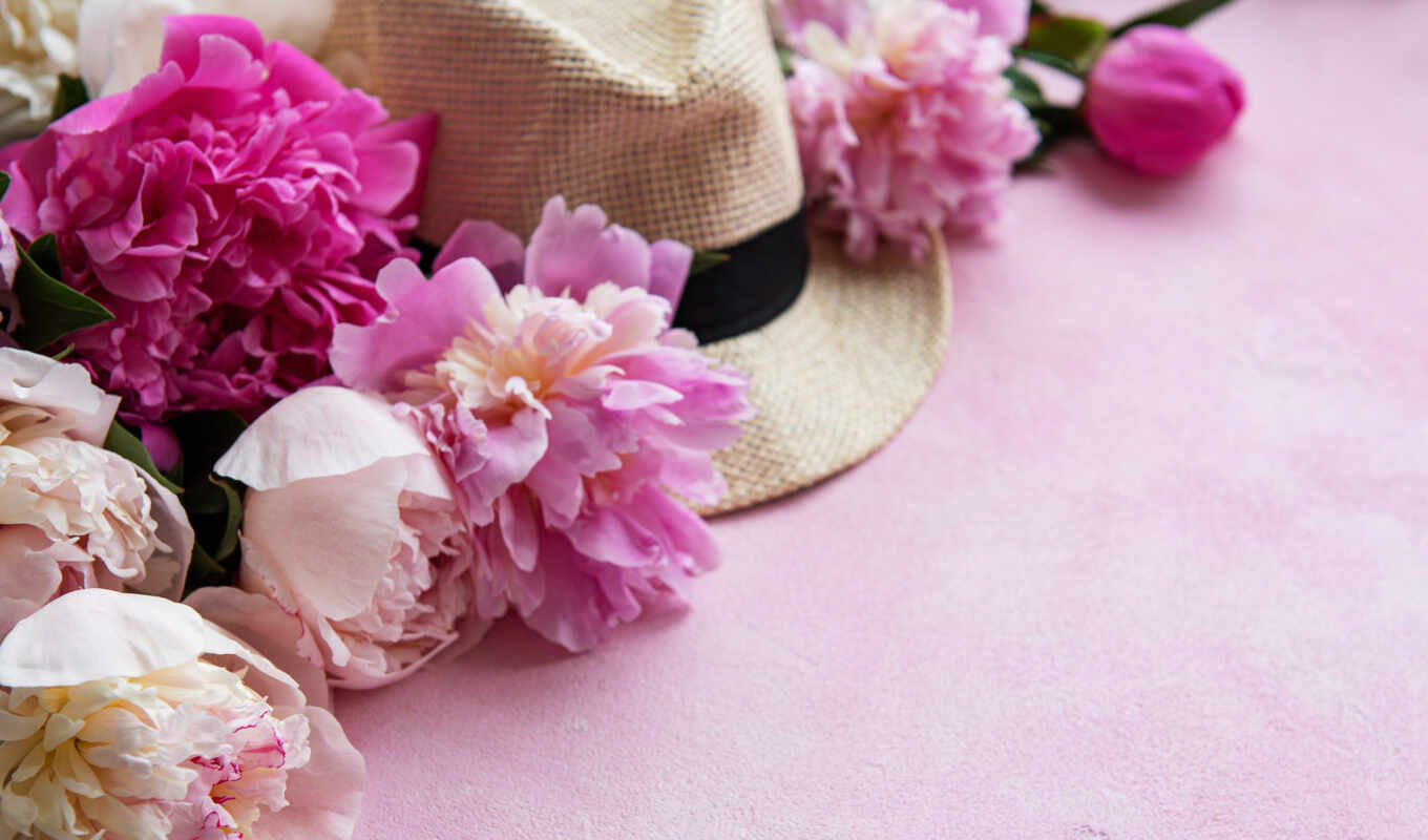 цветы, white, фон, розовый, wood, пион