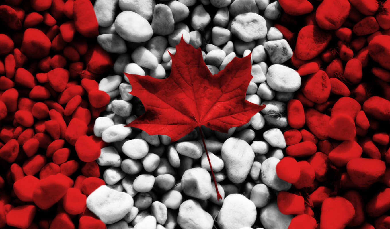 Canada, screen, bandera